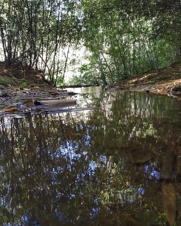 Pousada Recanto Dos Beija Flores Monte Alegre do Sul Extérieur photo