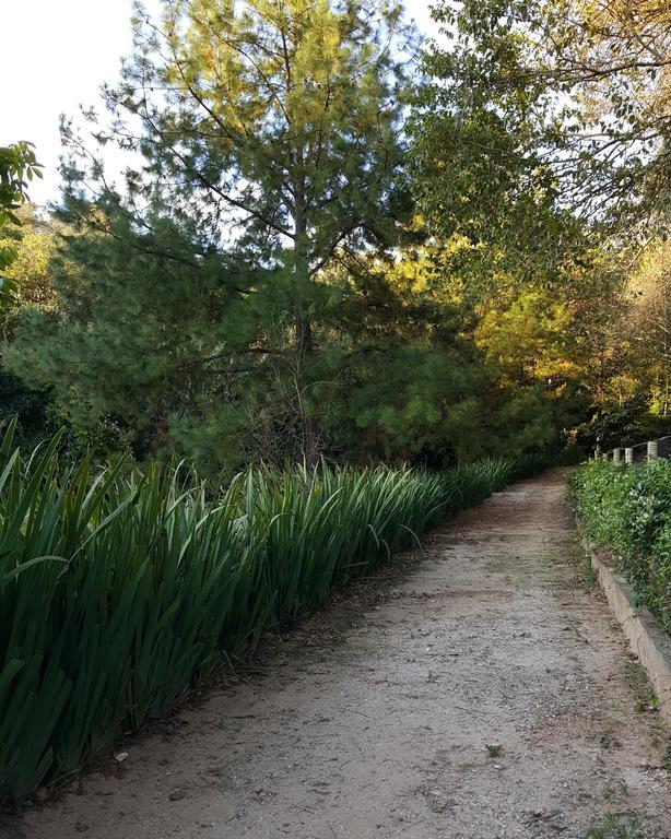 Pousada Recanto Dos Beija Flores Monte Alegre do Sul Extérieur photo